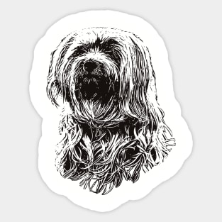 Havanese gift for Havanese Cuban Bichon Owners Sticker